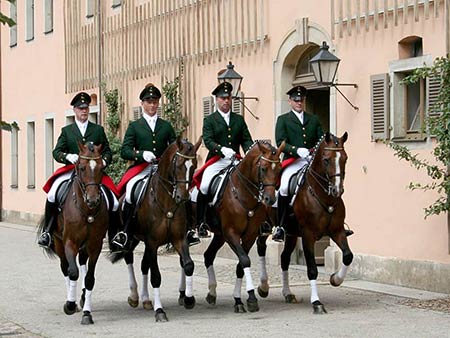 Gestüt und Hengstparade Gestüt und Hengstparade